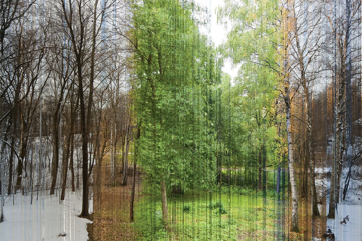 Photos spliced together to show the changing of seasons.