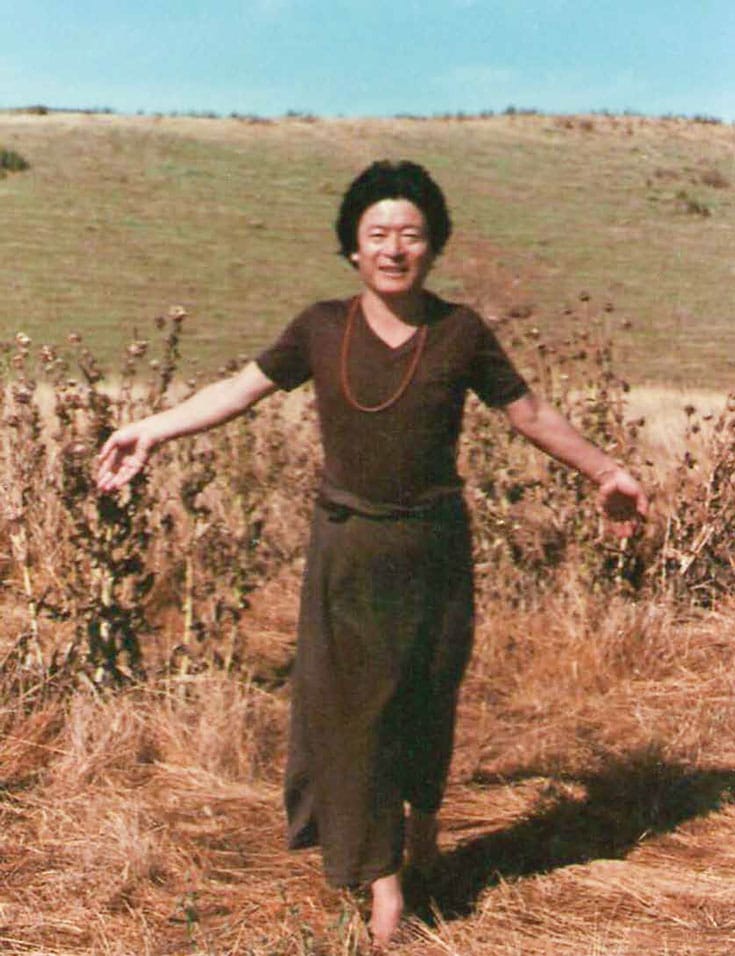 Thinley Norbu Rinpoche, Longchenpa, Nyingma, Dzogchen, Lion’s Roar, Buddhadharma, A Cascading Waterfall of Nectar, White Sail, Dudjom Rinpoche son, father Dzongsar Jamyang Khyentse Rinpoche, Tibetan Buddhism