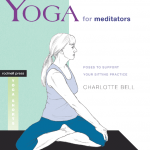“Yoga for Meditators” teaches you to sit – quite literally