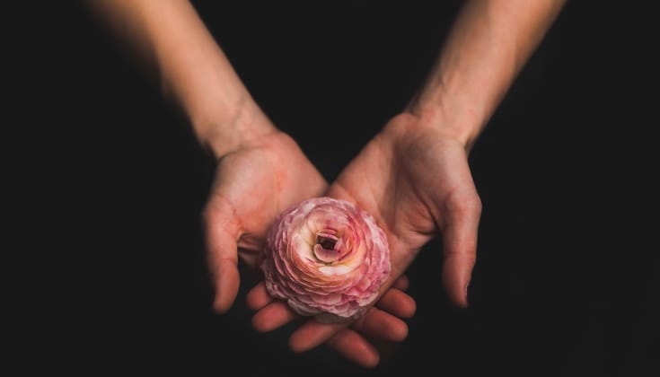 hands, rose