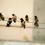 From The Under 35 Project: “How to save your life, over and over and over again”