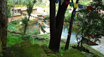 Mahamudra, Meditation, Teachings, Traleg Rinpoche, Vajrayana / Tibetan Buddhism, Buddhadharma, Lion's Roar, Buddhism