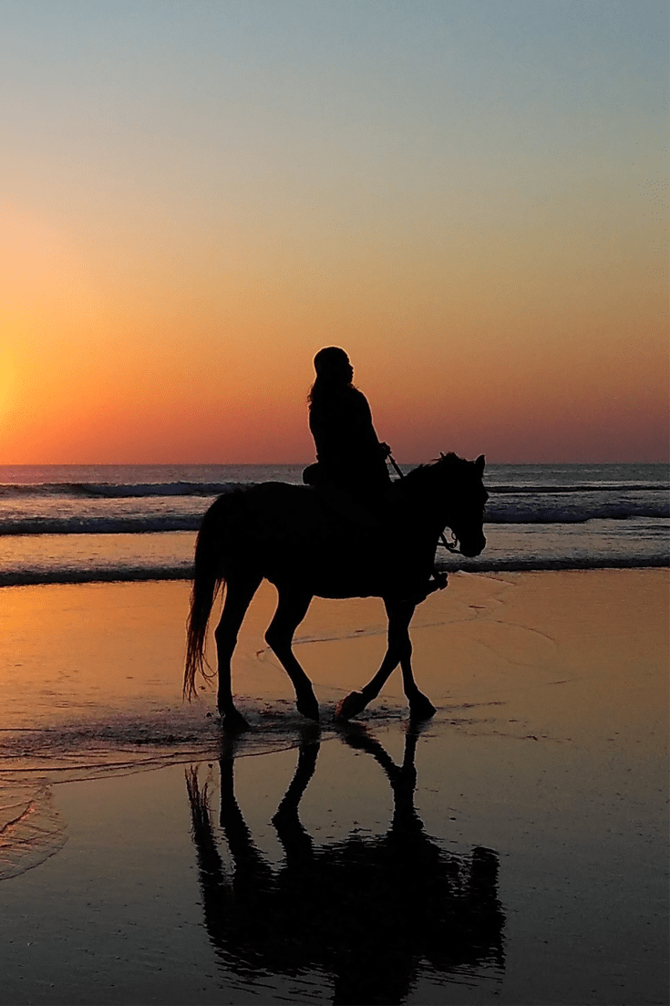sunsethorse