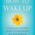 “How to Wake Up” author Toni Bernhard on the self as “Ever-Shifting Flow”