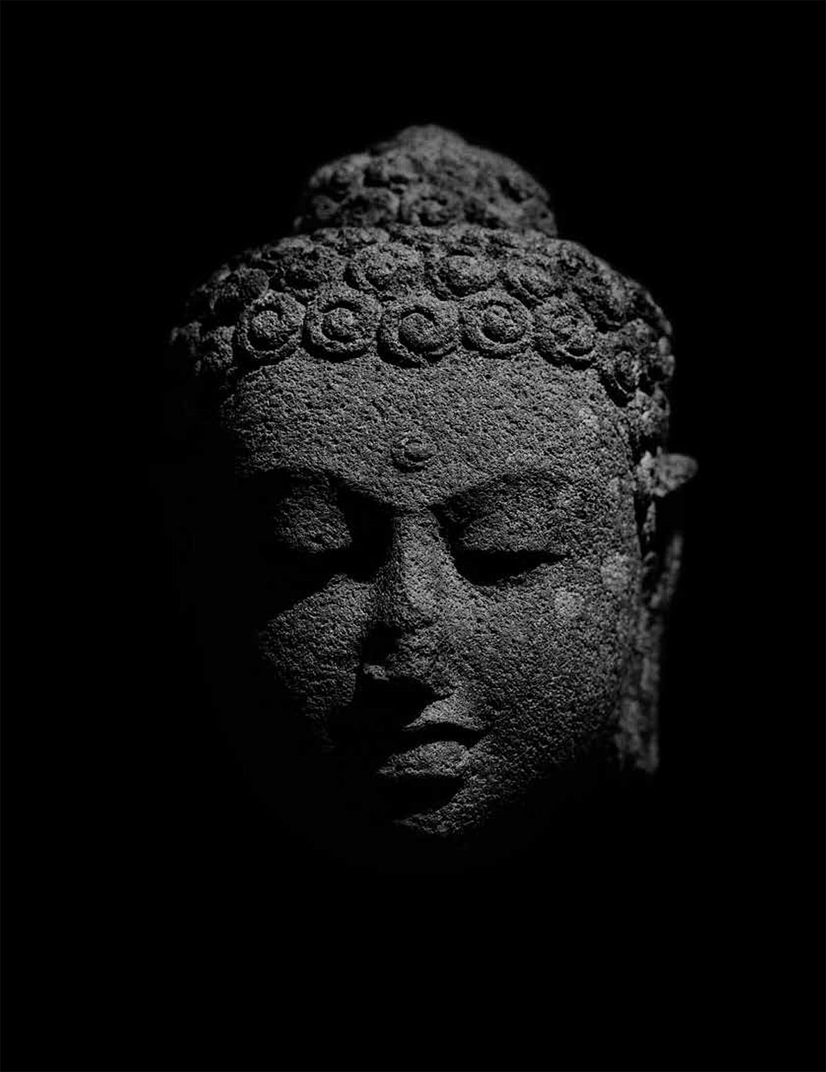 Buddha Satipatthana Sutta Joseph Goldstein Buddhadharma Mindfulness Lion's Roar BUddhism