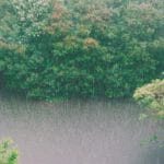 Poem of Silence