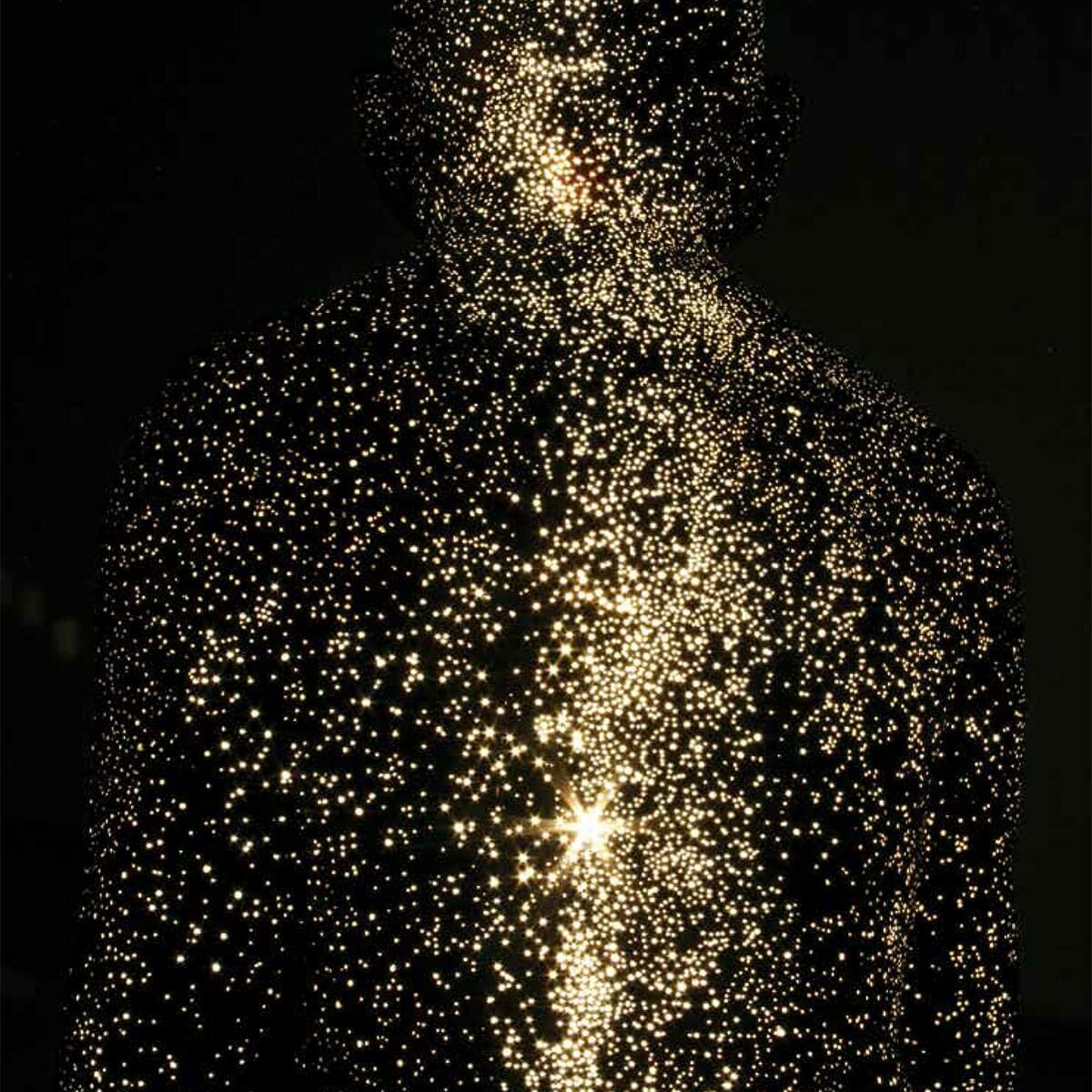 What Are Conditioned Things In Buddhism Lion S Roar