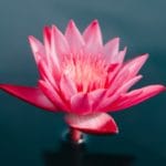 The itch of existence: Where do I fit?