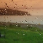 Buddhist psychotherapist and “RAIN” champion Tara Brach
