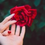 Bedside hospice volunteer Stan Goldberg on offering forgiveness