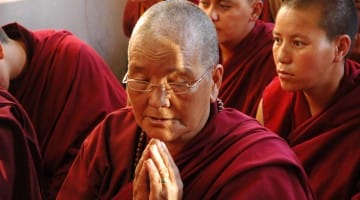 Nuns Expelled Tibet News Buddhist Lion's Roar