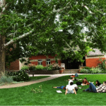 Naropa University seeks Professional Development and Extended Studies Director