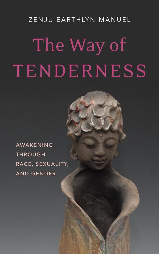 The Way of Tenderness Excerpt Wisdom Publications Race Sexuality Gender Awakening