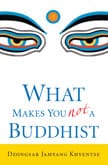 What-Makes-You-Not-a-Buddhist