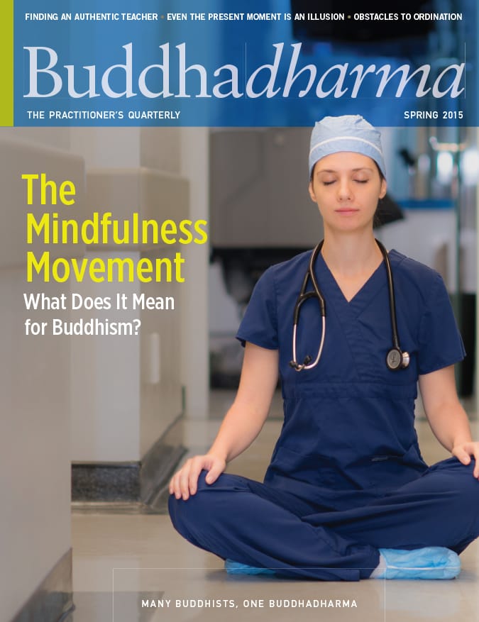 Buddhadharma Spring 2015 Mindfulness Lion's Roar