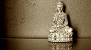 Buddha Share Your Wisdom Best Thing Buddhism Has Done for You