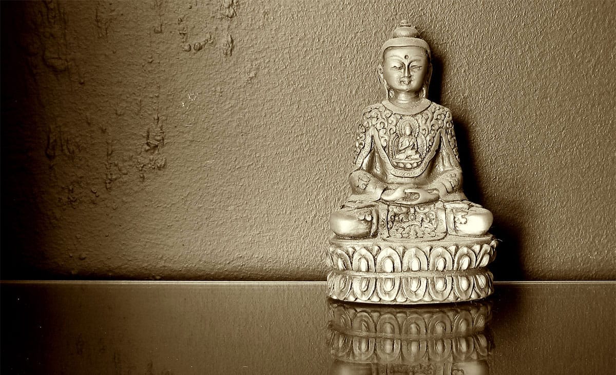 Buddha Share Your Wisdom Best Thing Buddhism Has Done for You