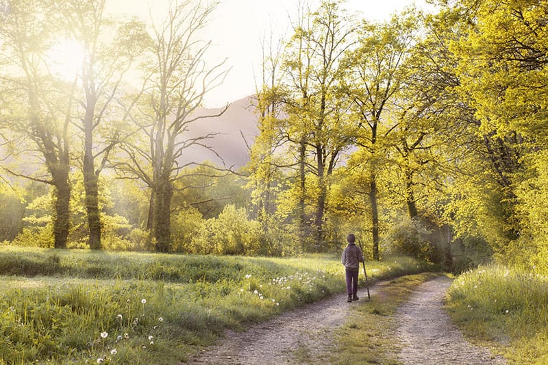 forest-walking