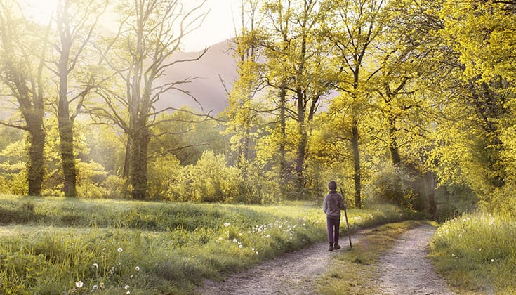 Thich Nhat Hanh on Walking Meditation - Lion's Roar