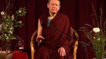 pema chodron tonglen nepal instruction video lion's roar news buddhism