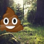 The Tao of Poo