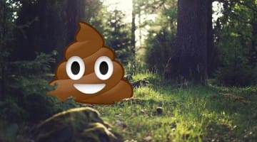 The Tao of Poo