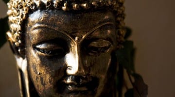 transgender identity man woman male female buddha anatta attachment buddhism sallie jiko tisdale andrew holocek narayan helen liebenson gender lion's roar ask the teachers advice buddha