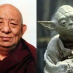 Was Yoda based on this Buddhist master?