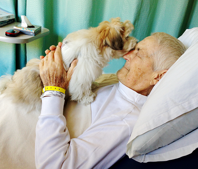 zenkei, blanche hartman, sick, dying, illness, san francisco zen center, lion's roar, buddhism, news, sfzc, puppy, hospital
