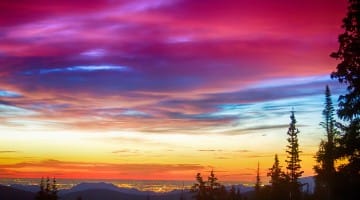 The Basic Principle of Bodhicitta