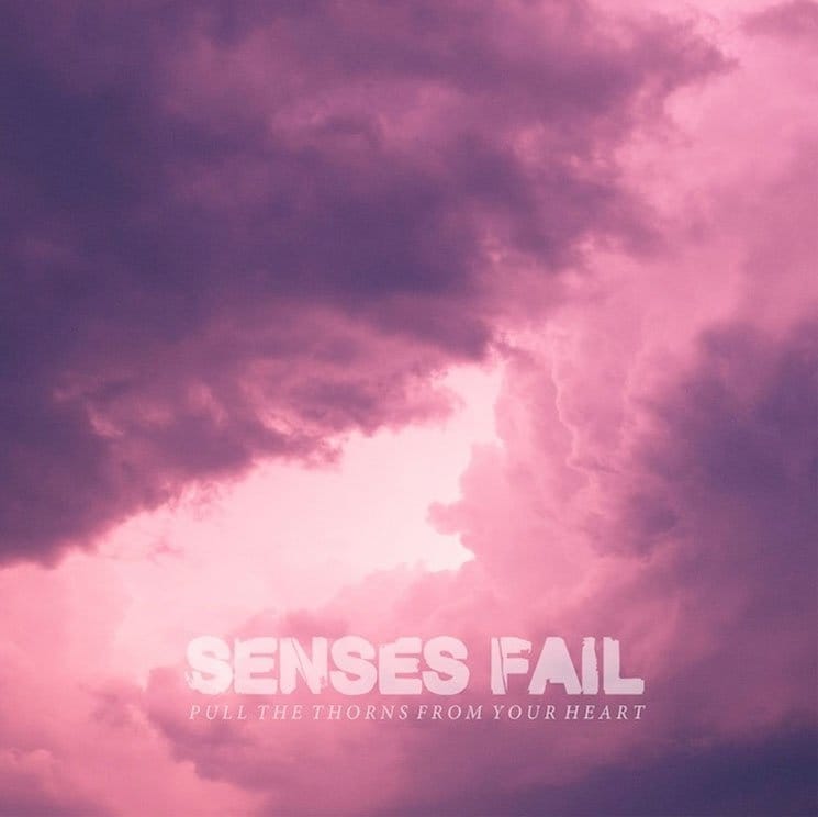 senses