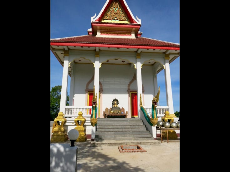 thai-forest-slideshow-5