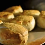 Biscuits — and More — Beyond Compare