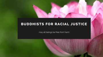 buddhists for racial justice, website, open letter, angel kyodo william, tara brach