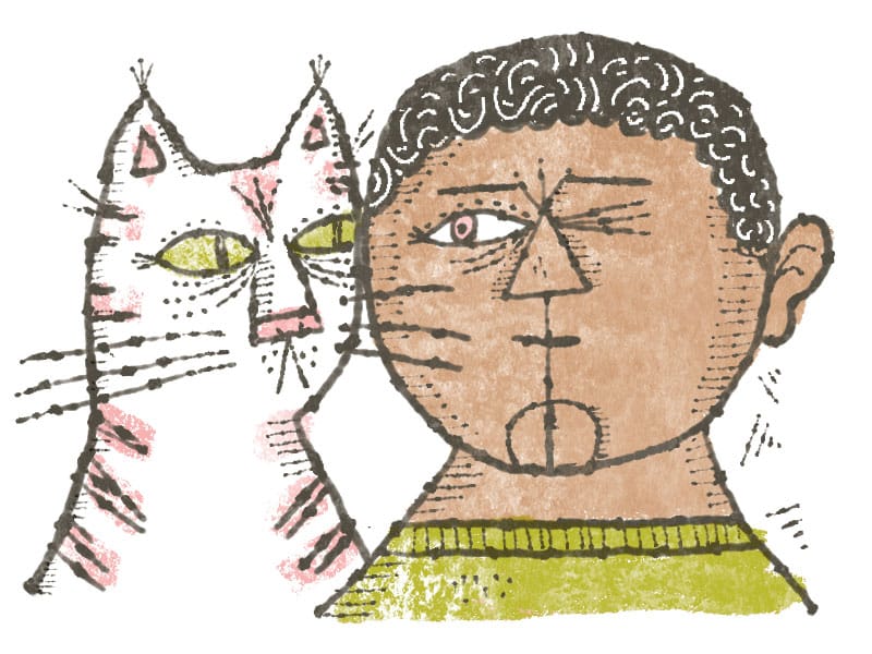 beginner's mind, meditation, eyes, shamatha, look at, gaze, lion's roar, buddhism, how to, shambhala sun, magazine