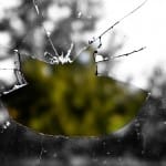 The Cruelty We Delivered: An Apology