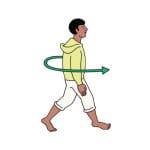 How to Practice Walking Meditation