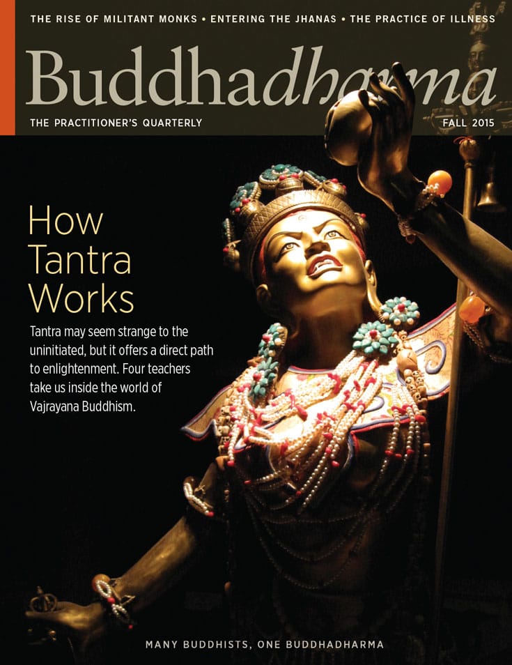 buddhadharma, fall, 2015, magazine, lion's roar