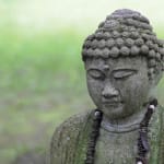 In person or via livestream, join us for our “Waking Up in Every Moment” retreat at Omega