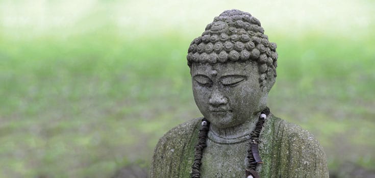 omega, buddha, waking up, sylvia boorstein, tsoknyi rinpoche, melissa myozen blacker, shambhala sun