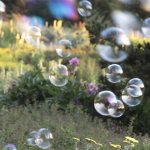 Watch Sharon Salzberg’s “Bubble Meditation”