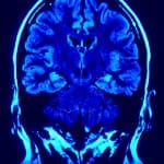 Neuroscience and Buddhism converging on the inconstant self
