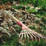 Do Dishes, Rake Leaves: The Wisdom of the Ancient Homemakers