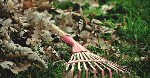 Do Dishes, Rake Leaves: The Wisdom of the Ancient Homemakers - Lions Roar