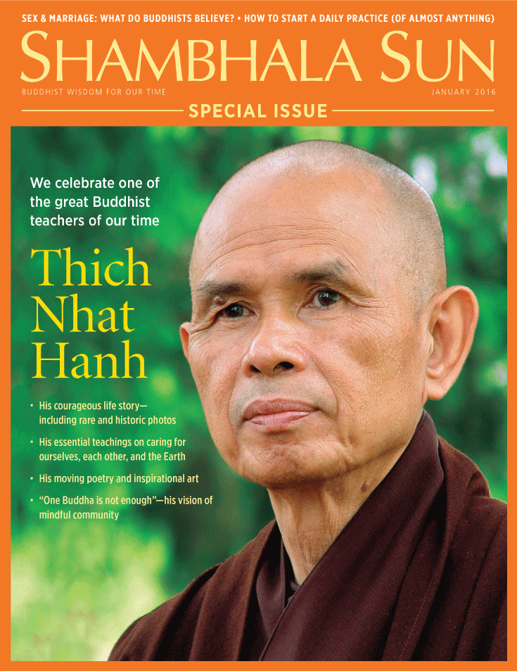 Thich Nhat Hanh, Shambhala Sun, Lion's Roar