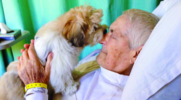 Blanche Hartman, Living, Dying, Zen, Buddhism, Lion's Roar, Shambhala Sun