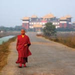 The Wanderer