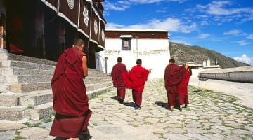 Tibet, Monks, Database, Living Buddha, China, Lion's Roar, News