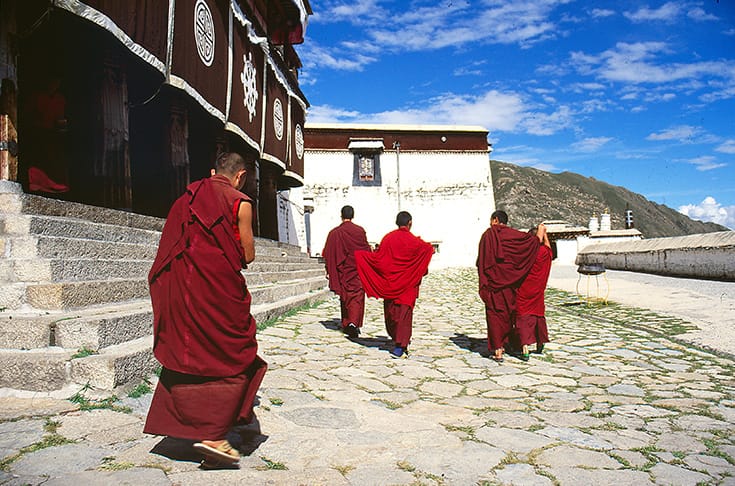 Tibet, Monks, Database, Living Buddha, China, Lion's Roar, News