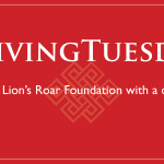 Why support Lion’s Roar this #GivingTuesday?
